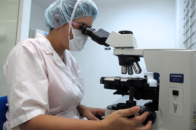 Veterinary Services Surgery